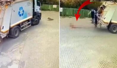 Çöp kamyonunun altında kalan köpek, feci şekilde can verdi
